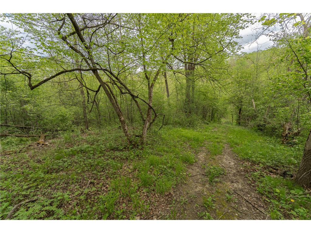 7630 County 15 Road SW Stewartville MN 55976 7004211 image43