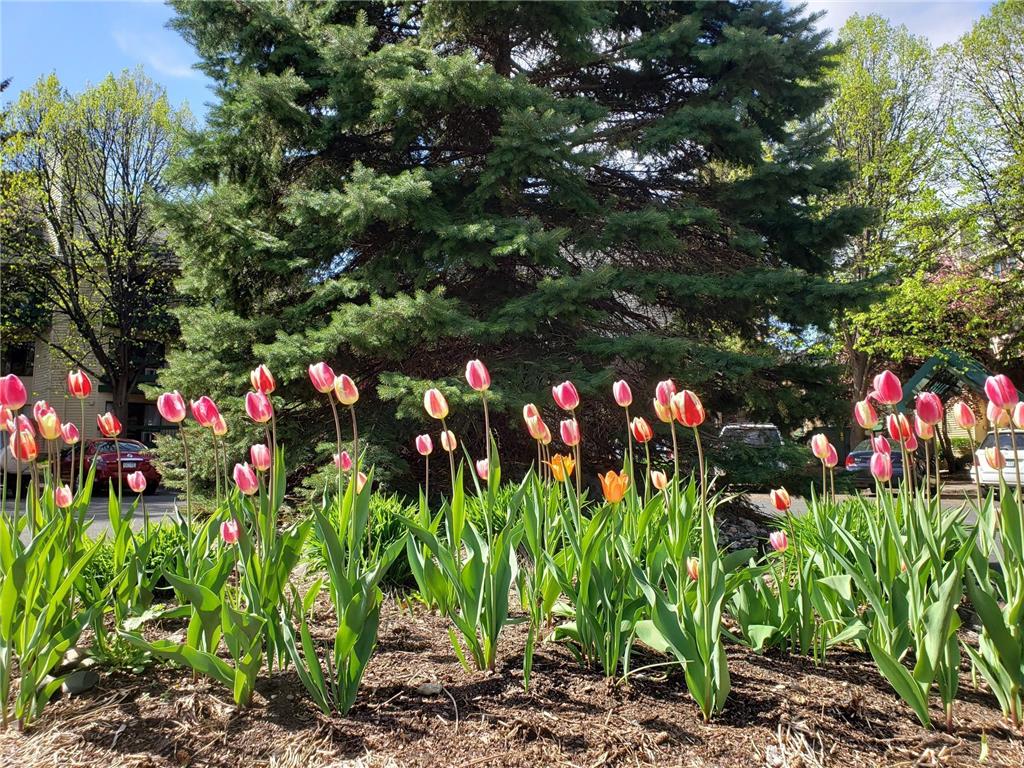 7631 Edinborough Way #5216 Edina MN 55435 7011250 image4