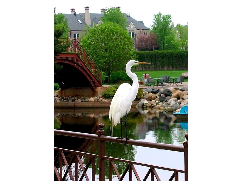 7631 Edinborough Way #5216 Edina MN 55435 7011250 image45