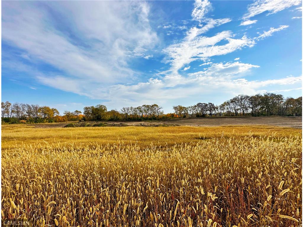 7631 Nevens Avenue NW Annandale MN 55302 6460099 image1