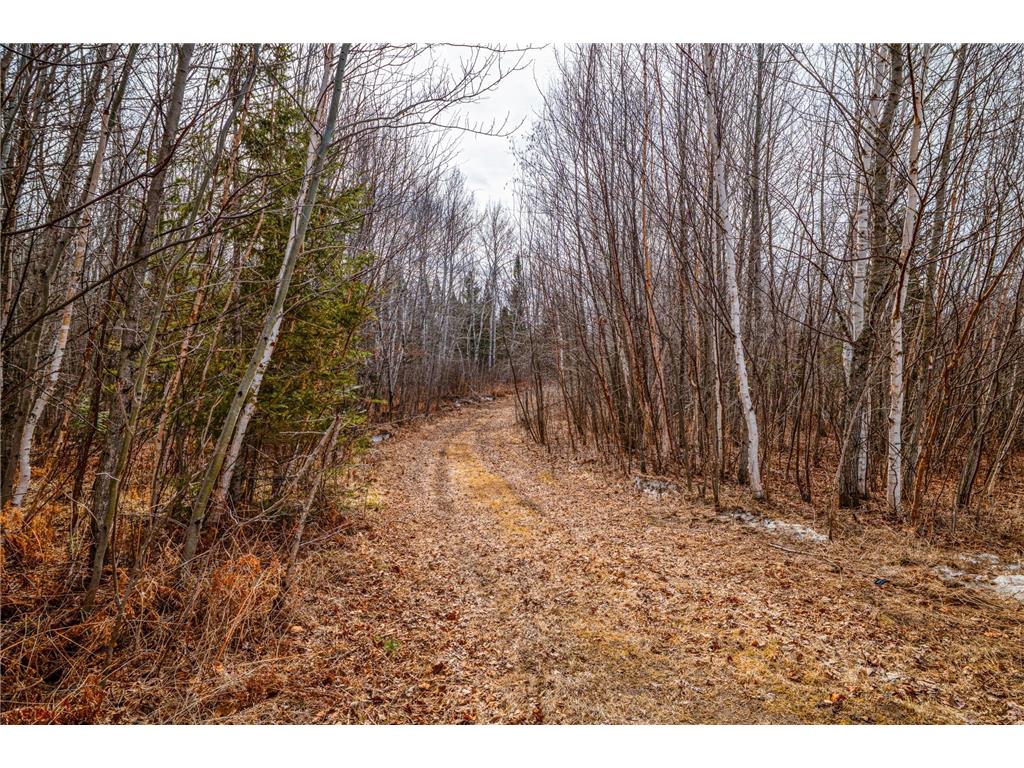 7634 Saint Peter Lane NW Puposky MN 56667 7047538 image102