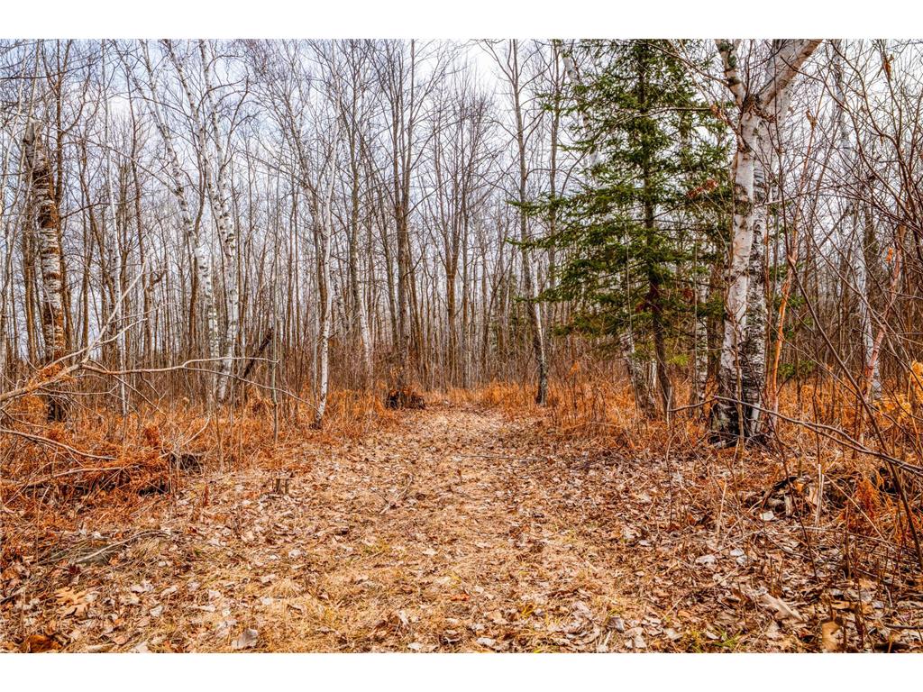 7634 Saint Peter Lane NW Puposky MN 56667 7047538 image87