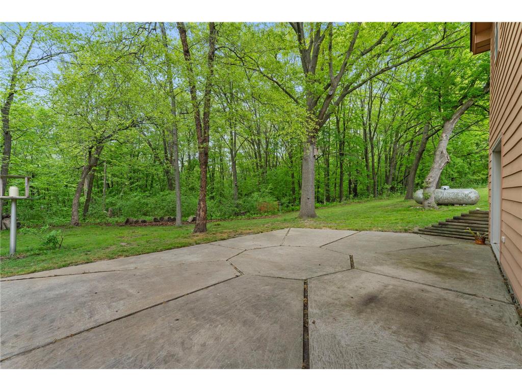 7636 Aladdin Avenue NW Buffalo MN 55313 7078062 image68