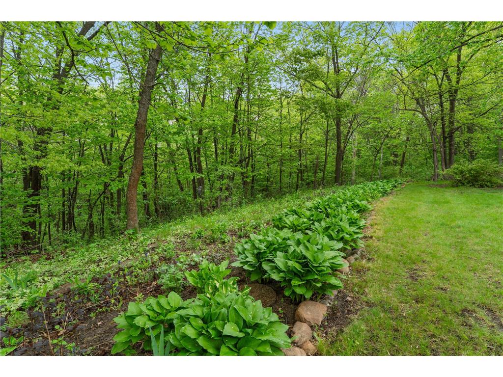 7636 Aladdin Avenue NW Buffalo MN 55313 7078062 image71