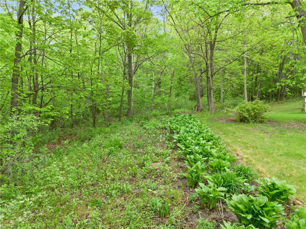 7636 Aladdin Avenue NW Buffalo MN 55313 7078062 image72