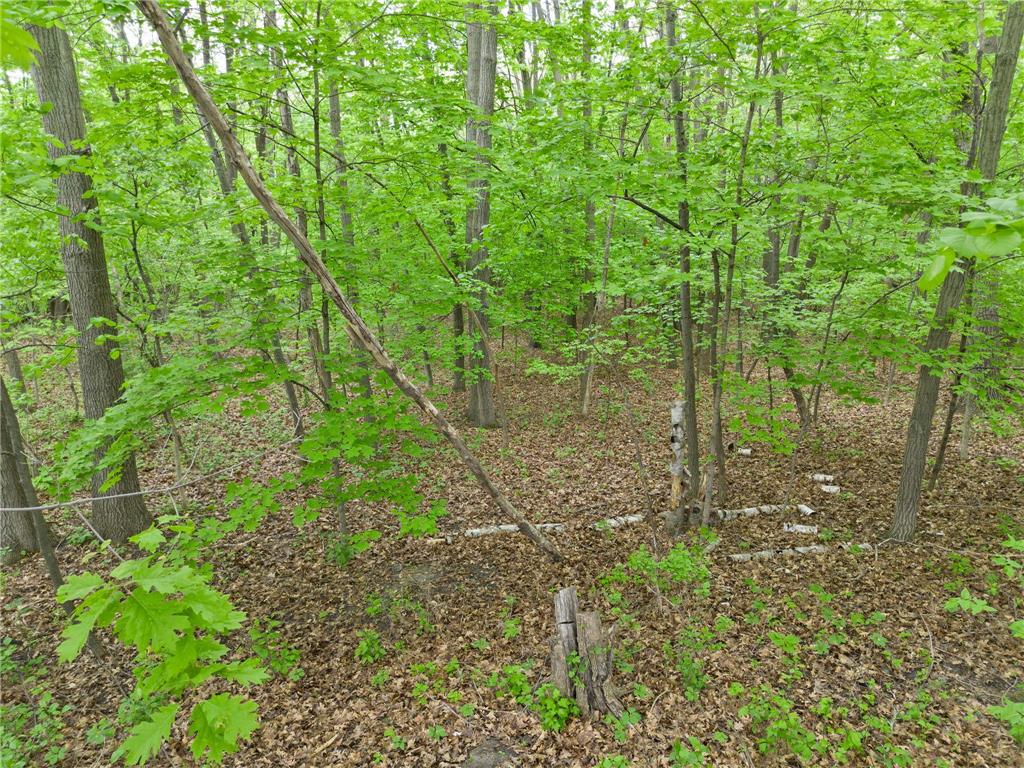 7636 Aladdin Avenue NW Buffalo MN 55313 7078062 image78