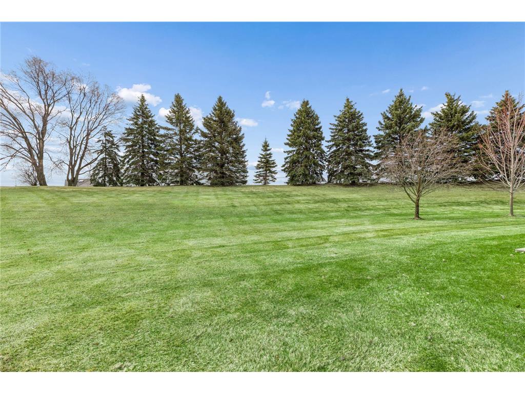 7638 Newbury Road Woodbury MN 55125 7041470 image39