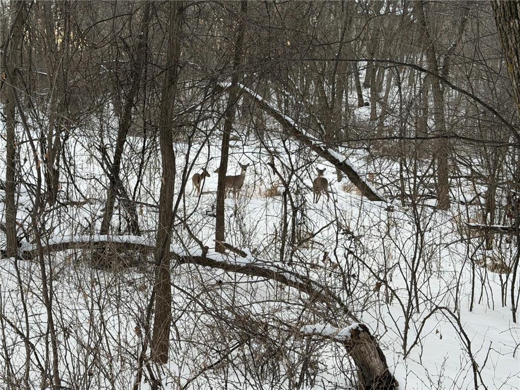 7641 Long Lake Road Dovre Twp MN 56201 - Point 6657154 image31