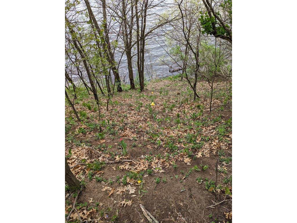 7646 196th Street Chippewa Falls WI 54729 - Wissota 7048056 image16