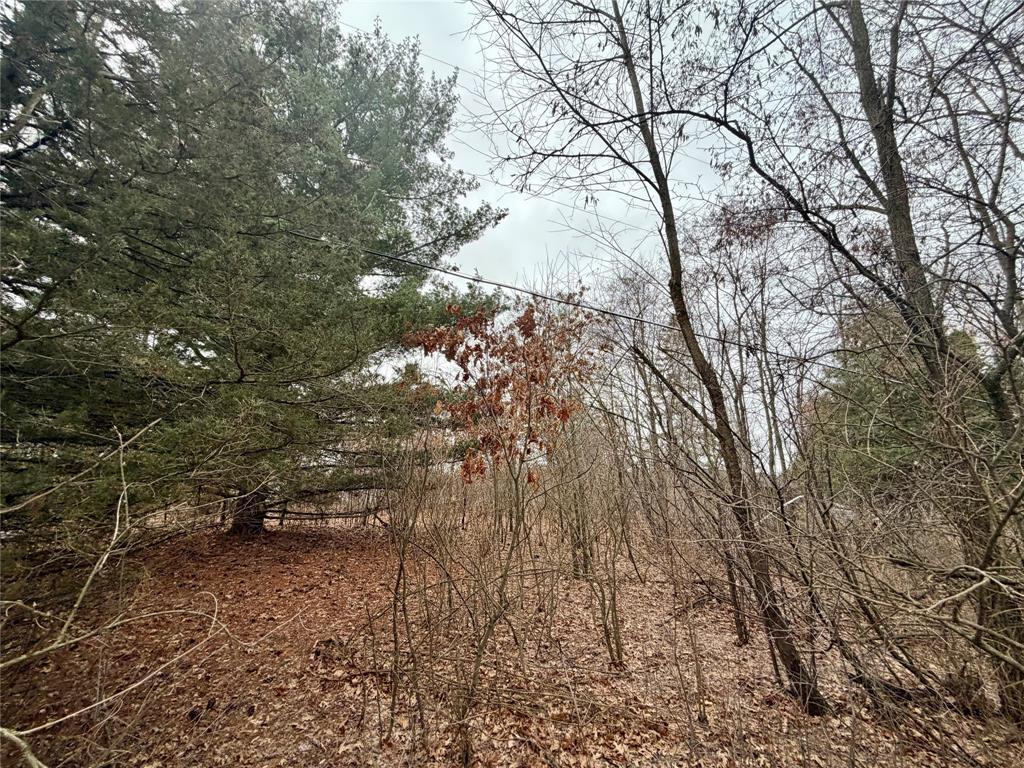 7646 196th Street Chippewa Falls WI 54729 - Wissota 7048056 image5