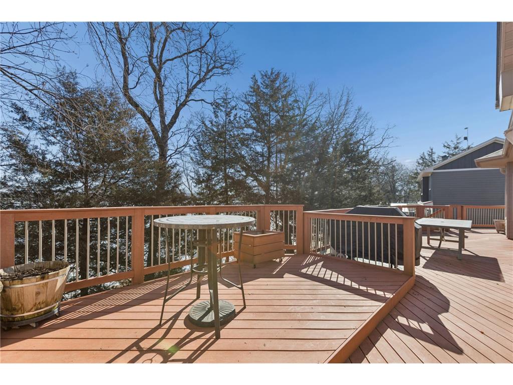 7646 Isaak Avenue NW Annandale MN 55302 - Cedar Lake 7000970 image10