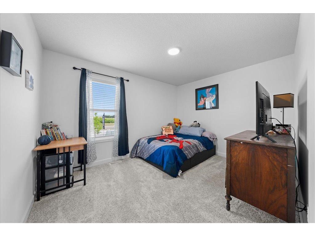 7664 106th Street S Cottage Grove MN 55016 7100209 image26