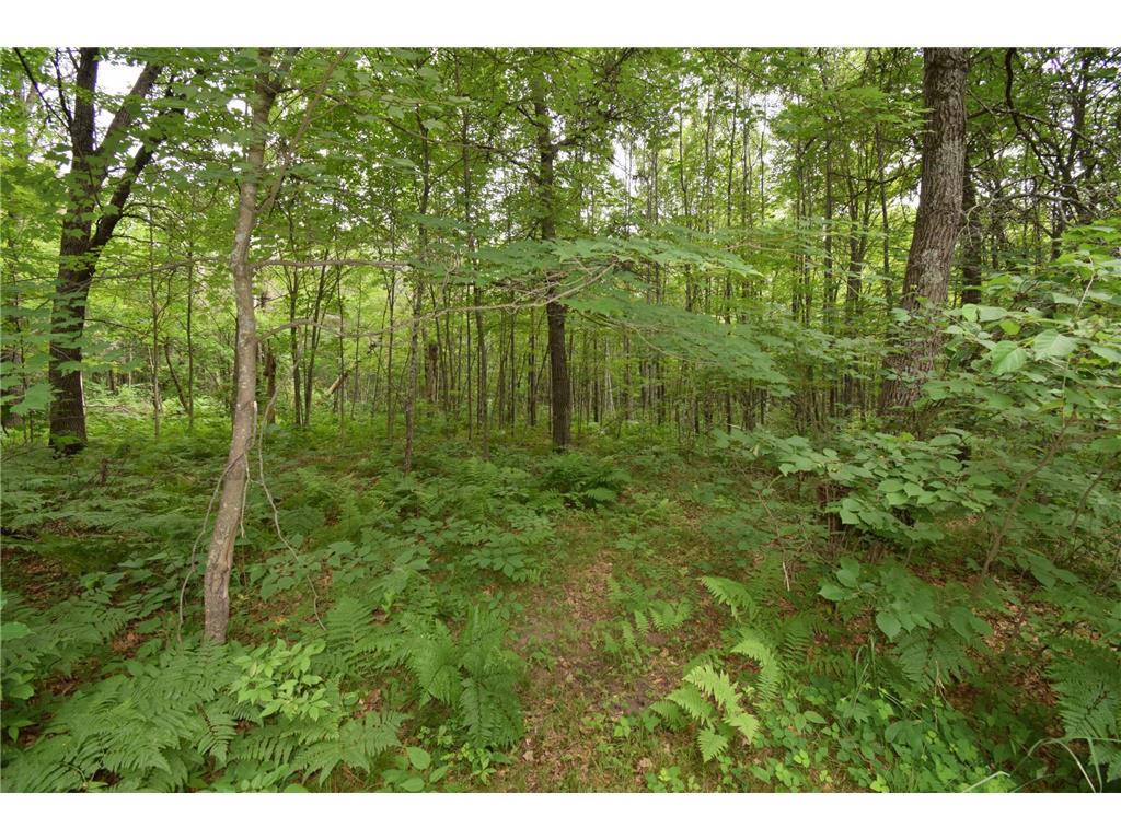 7689 Wood Lane Webster WI 54893 7104844 image42