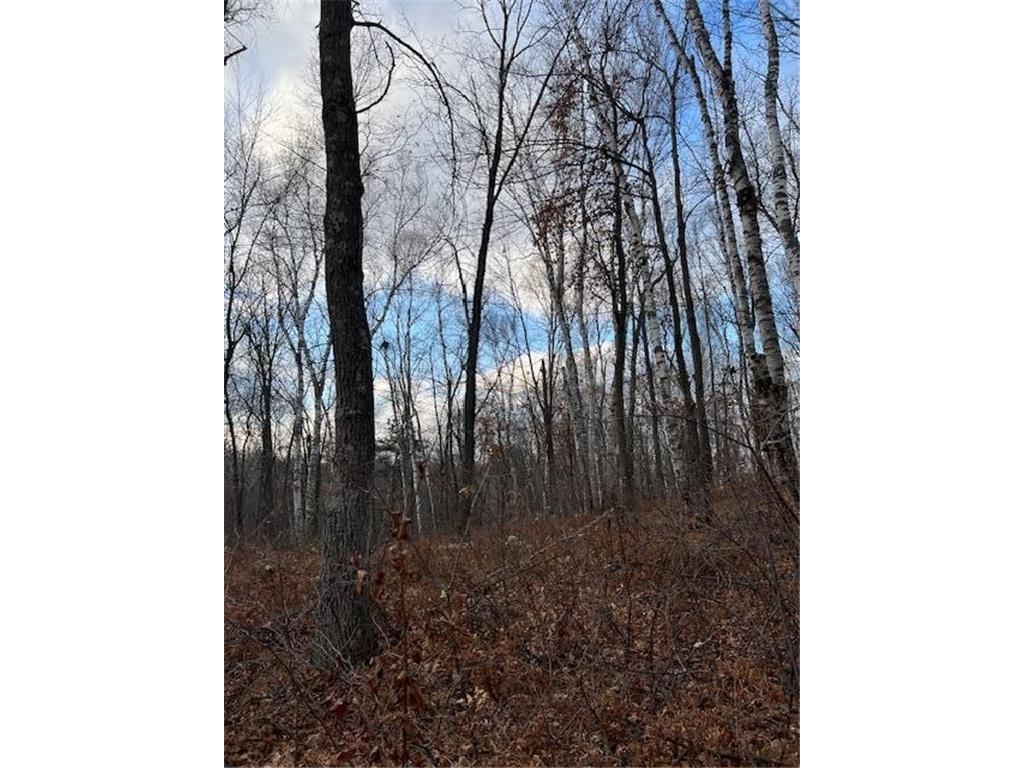 77 Acres Wickline Lane Crosslake MN 56442 6745246 image1