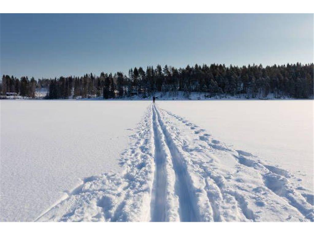 7701 Lake John Dr Annandale MN 55302 6818424 image18