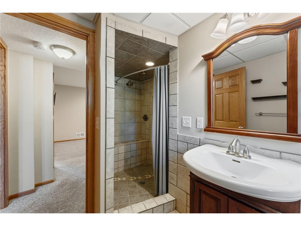 7703 Ivystone Avenue S Cottage Grove MN 55016 7100614 image27