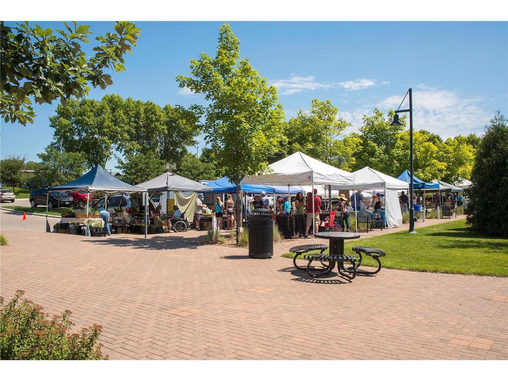 7703 Vasserman Place Chanhassen MN 55317 7015039 image41