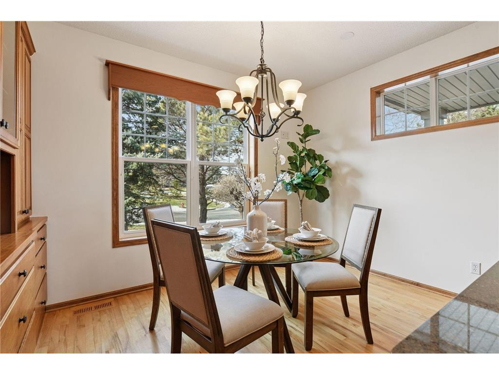 7703 Vasserman Place Chanhassen MN 55317 7015039 image5