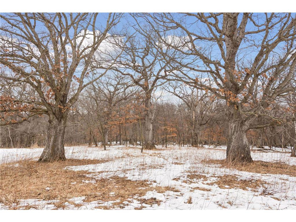 771 Zumbro Oaks Lane NW Oronoco MN 55960 7016727 image52