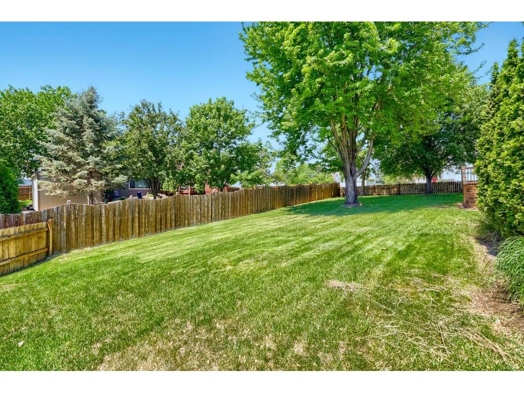 7710 Jonathan Avenue S Cottage Grove MN 55016 7057252 image38