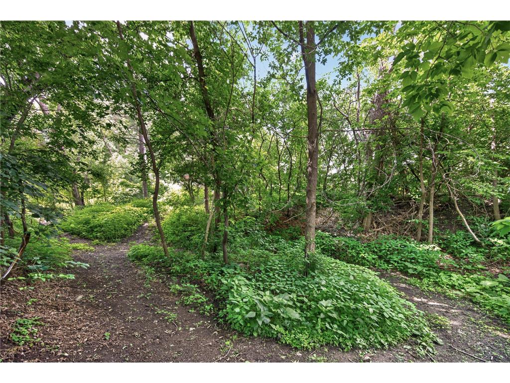 7712 Riverdale Drive N Brooklyn Park MN 55444 7095354 image54