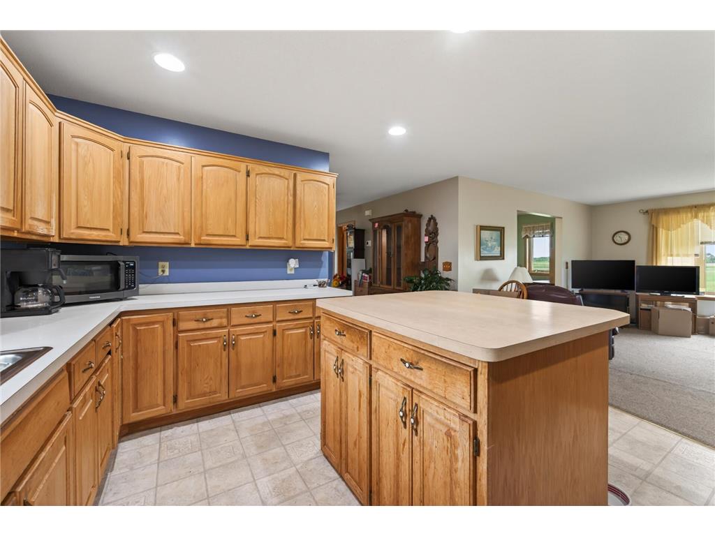 7725 Dolphin Road Bogus Brook Twp MN 55371 7078965 image20