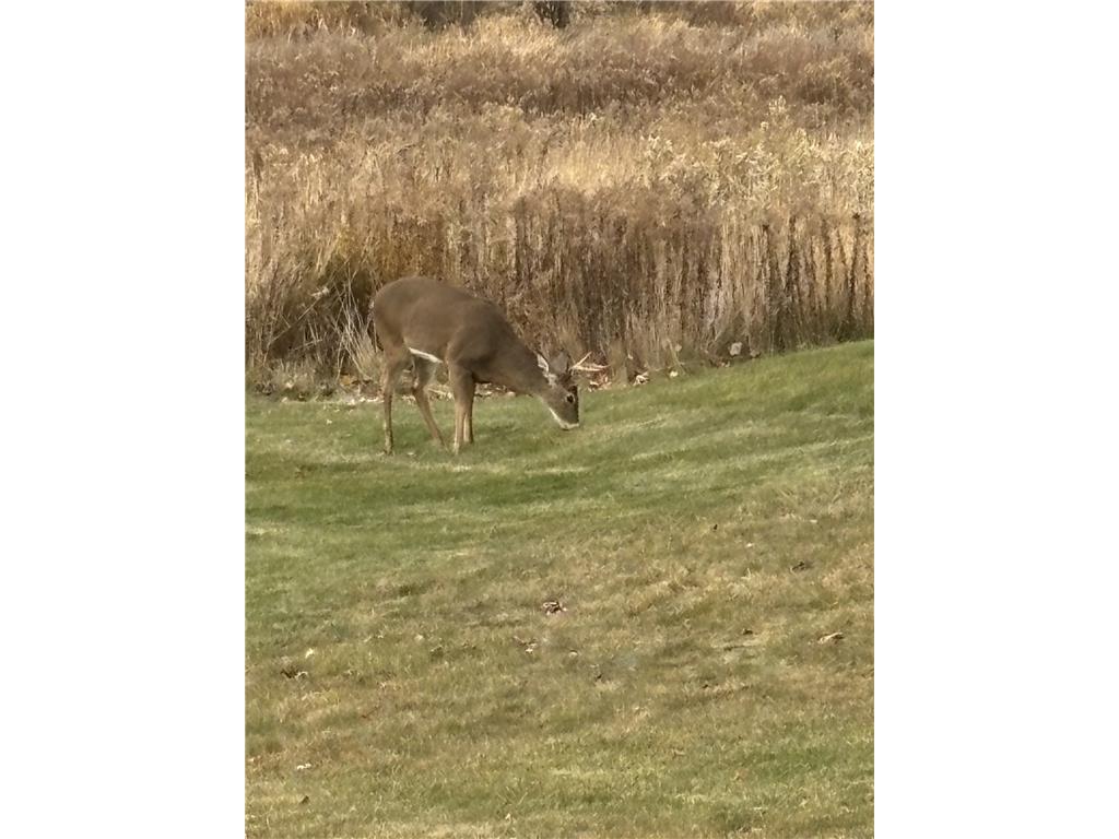 7726 County Rd N Tilden Twp WI 54729 7106108 image81