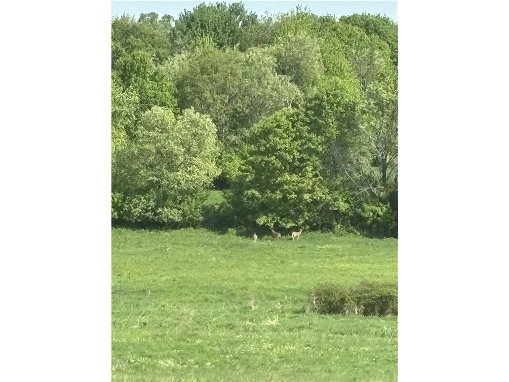 7726 County Rd N Tilden Twp WI 54729 7106108 image82