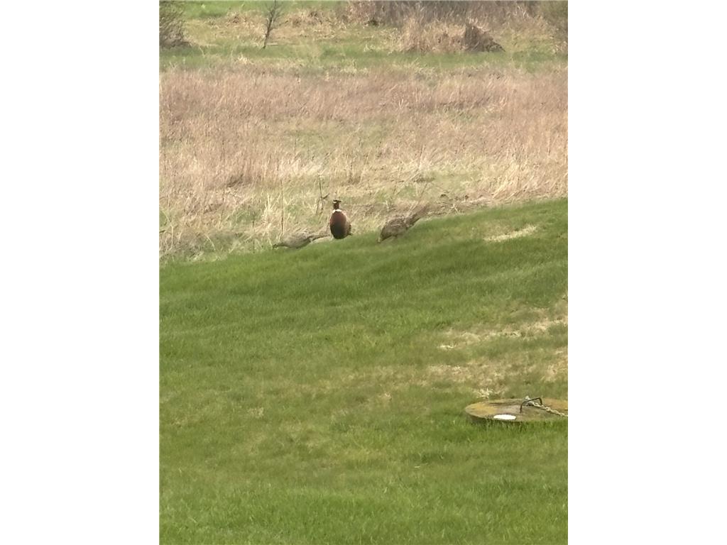 7726 County Rd N Tilden Twp WI 54729 7106108 image84
