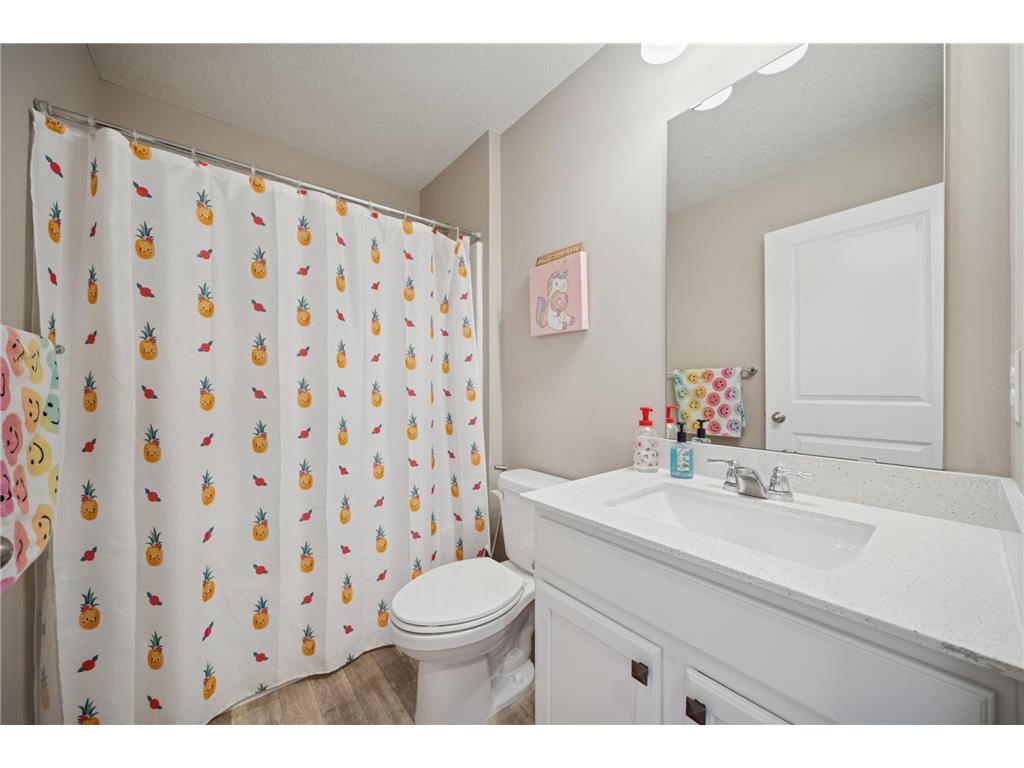 7737 205th Street W Lakeville MN 55044 7015364 image21