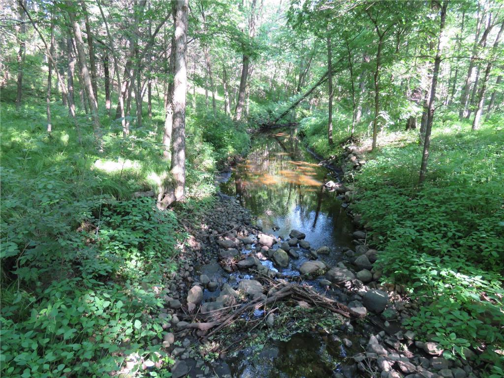 7738 County Road 17 Rice MN 56367 7103041 image20