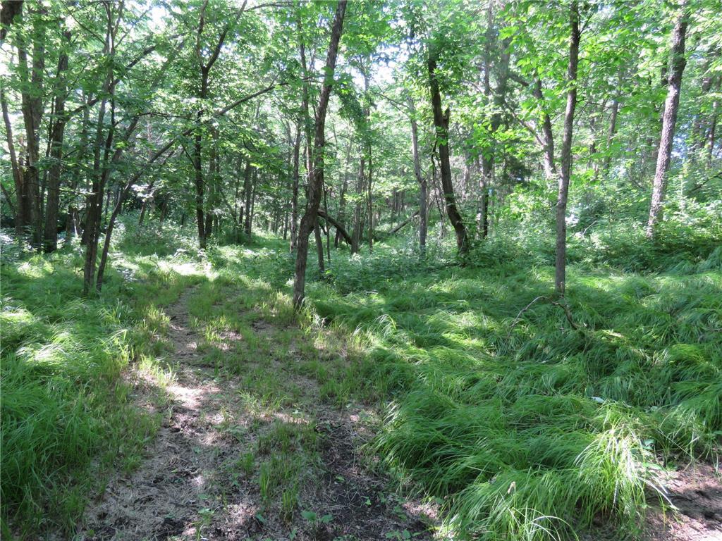 7738 County Road 17 Rice MN 56367 7103041 image24
