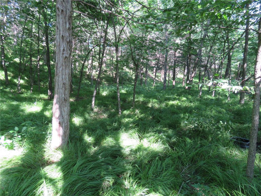 7738 County Road 17 Rice MN 56367 7103041 image25