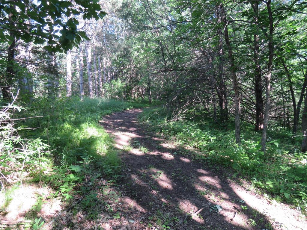 7738 County Road 17 Rice MN 56367 7103041 image26