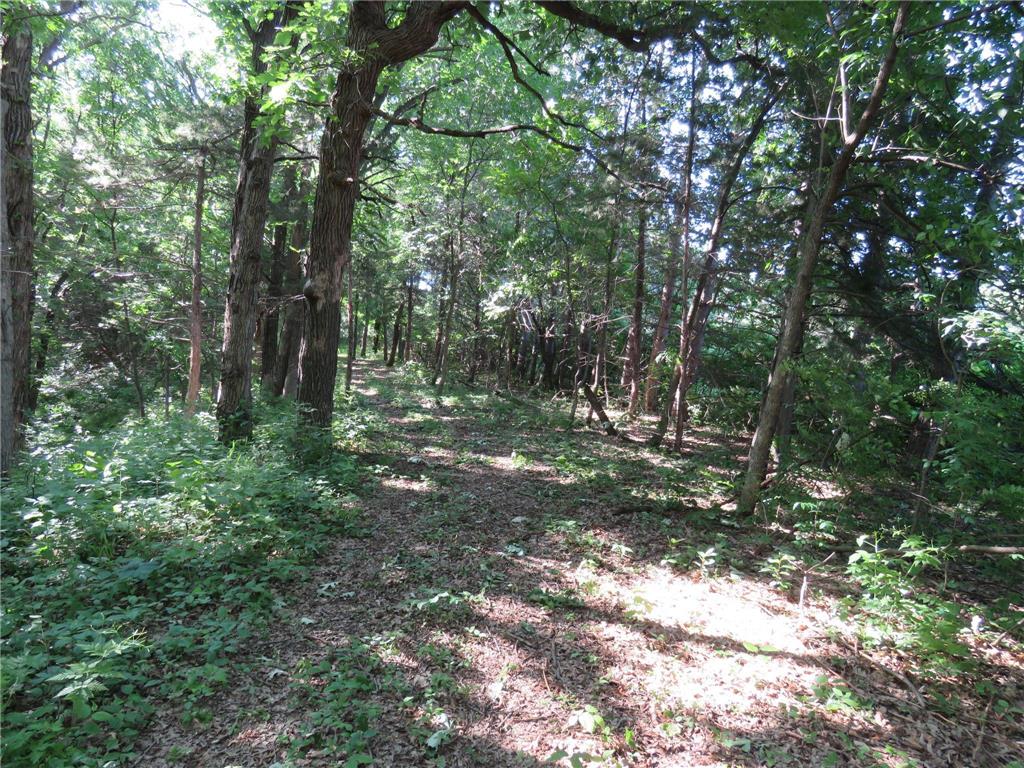 7738 County Road 17 Rice MN 56367 7103041 image28