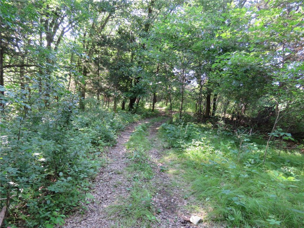7738 County Road 17 Rice MN 56367 7103041 image29