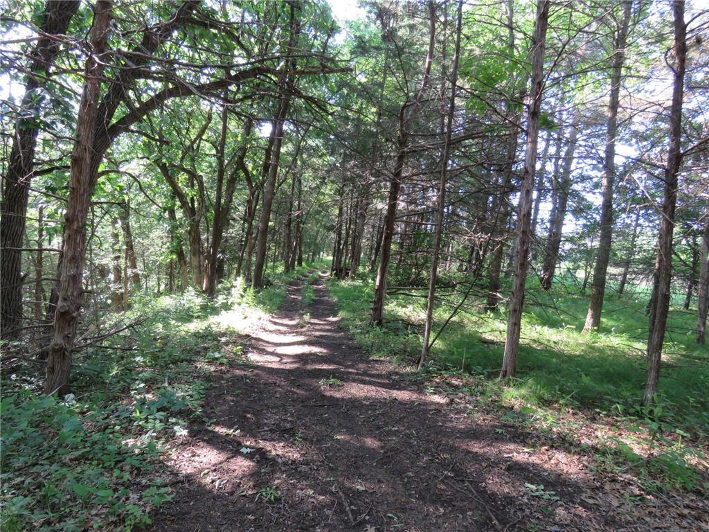 7738 County Road 17 Rice MN 56367 7103041 image30