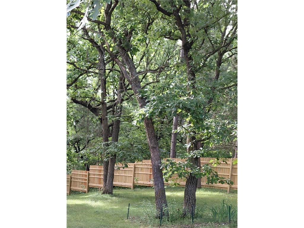 7738 County Road 17 Rice MN 56367 7103041 image62