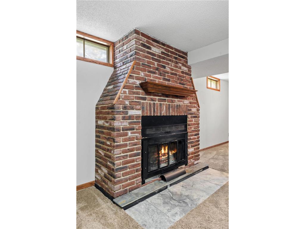774 Vicky Lane Lino Lakes MN 55014 7060638 image15