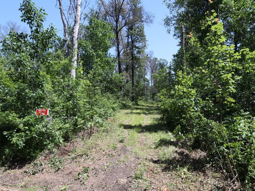 7742 Glendening Road Danbury WI 54830 6561750 image1