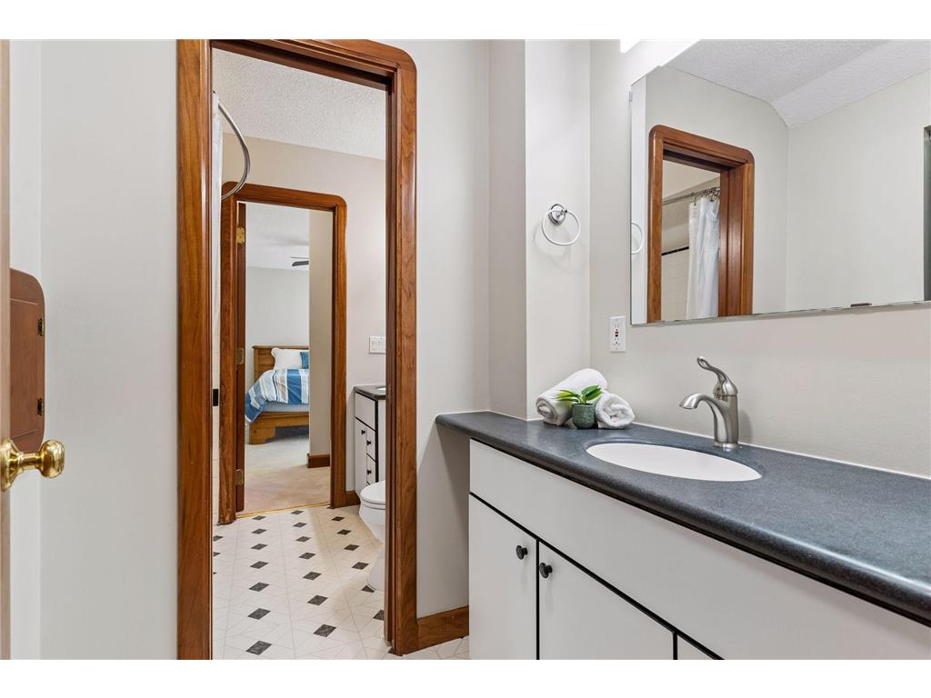 776 Golden Meadow Road Eagan MN 55123 - Schwanz Lake 7057369 image32
