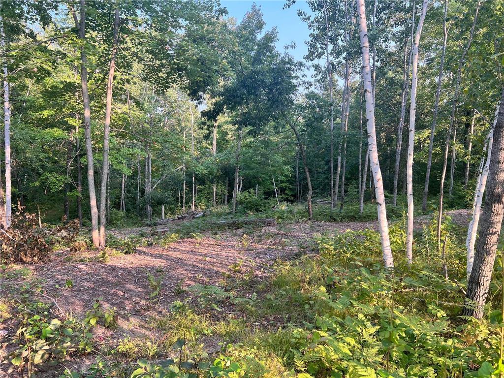 7773 White Overlook Drive Breezy Point MN 56472 6449254 image1