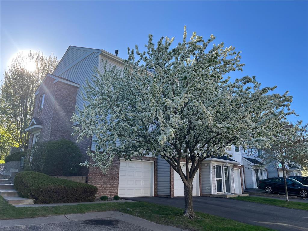 7774 Village Street Chanhassen MN 55317 6740257 image1