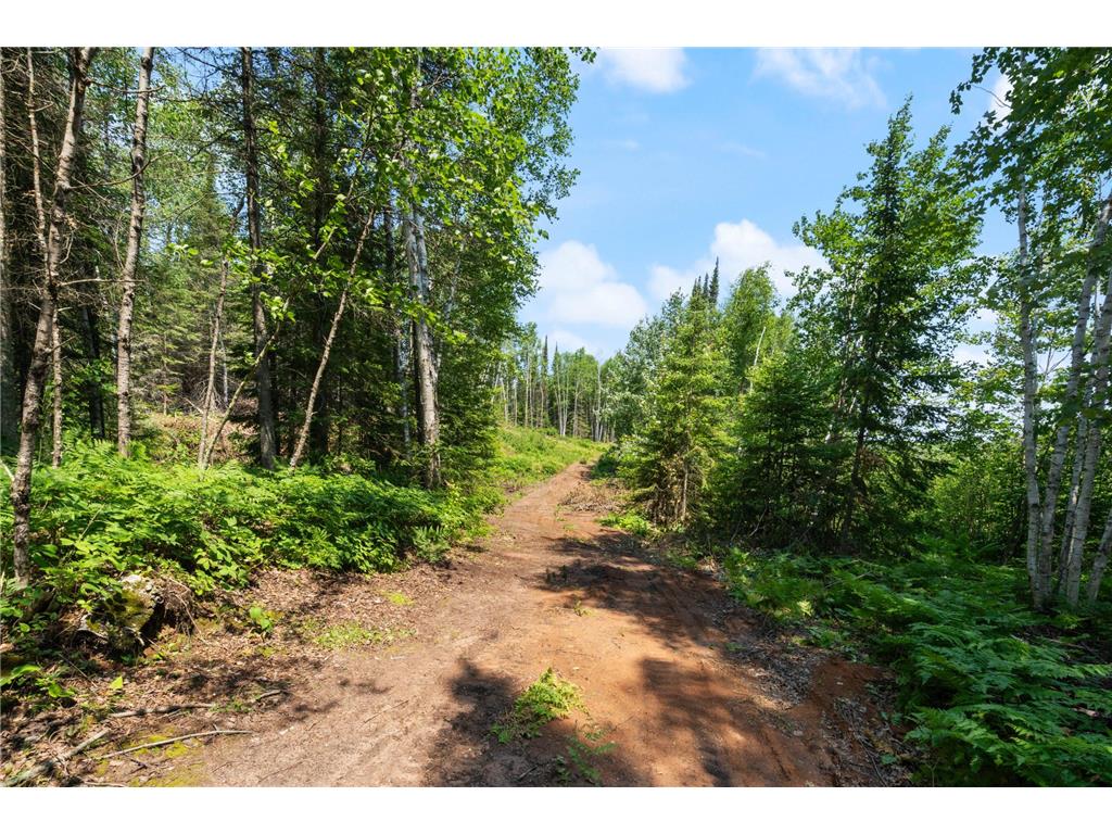7775 E Moose Lake Road Solon Springs WI 54873 7102300 image28