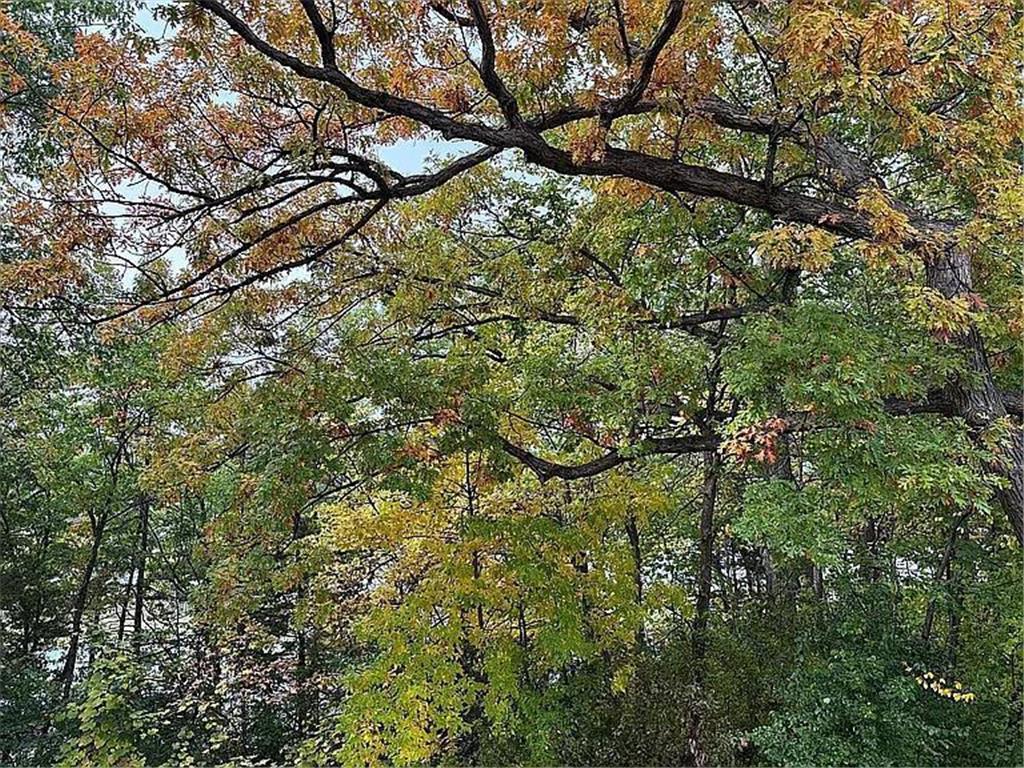 7783 Kingsview Lane N Maple Grove MN 55311 7031271 image29