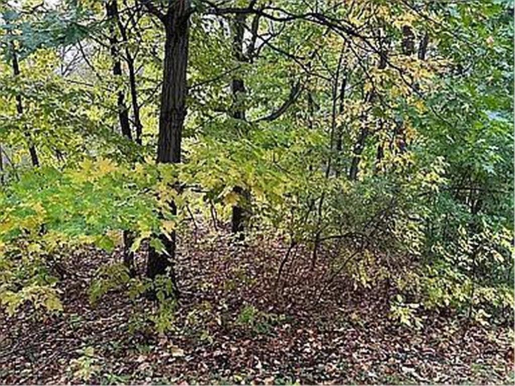 7783 Kingsview Lane N Maple Grove MN 55311 7031271 image30