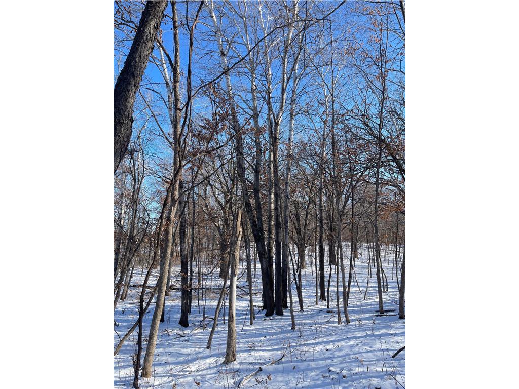 7784 181st Avenue NW Ramsey MN 55303 6649378 image6