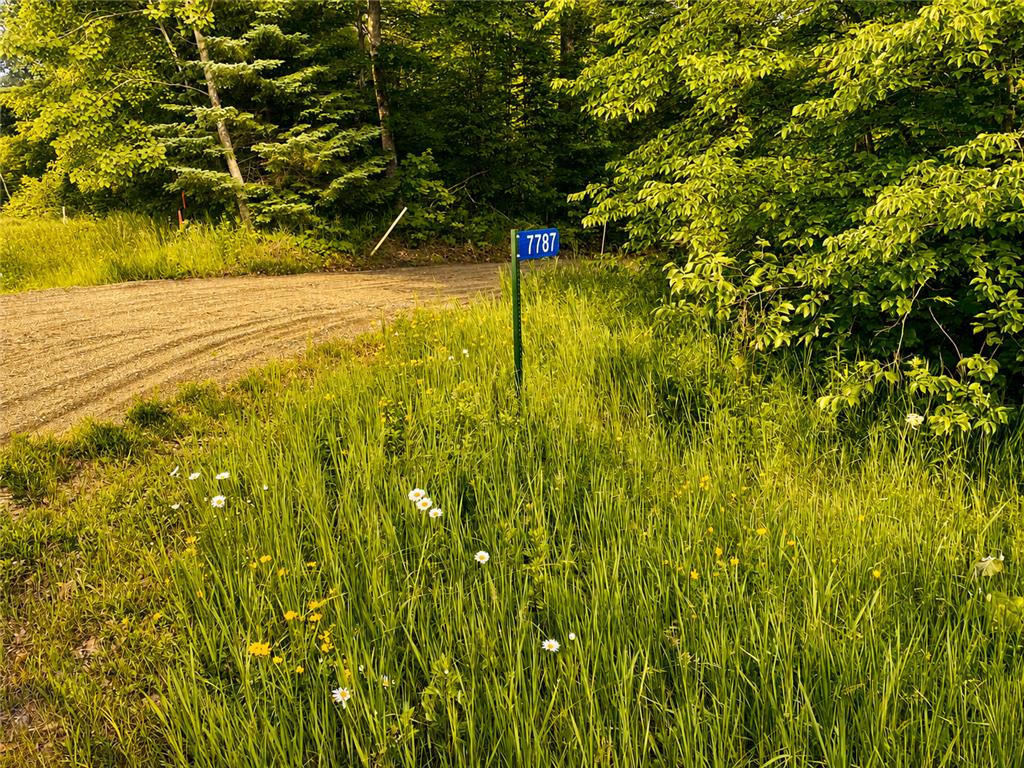 7787 Agency Narrows Drive NW Walker MN 56484 - Leech Lake 6739779 image15