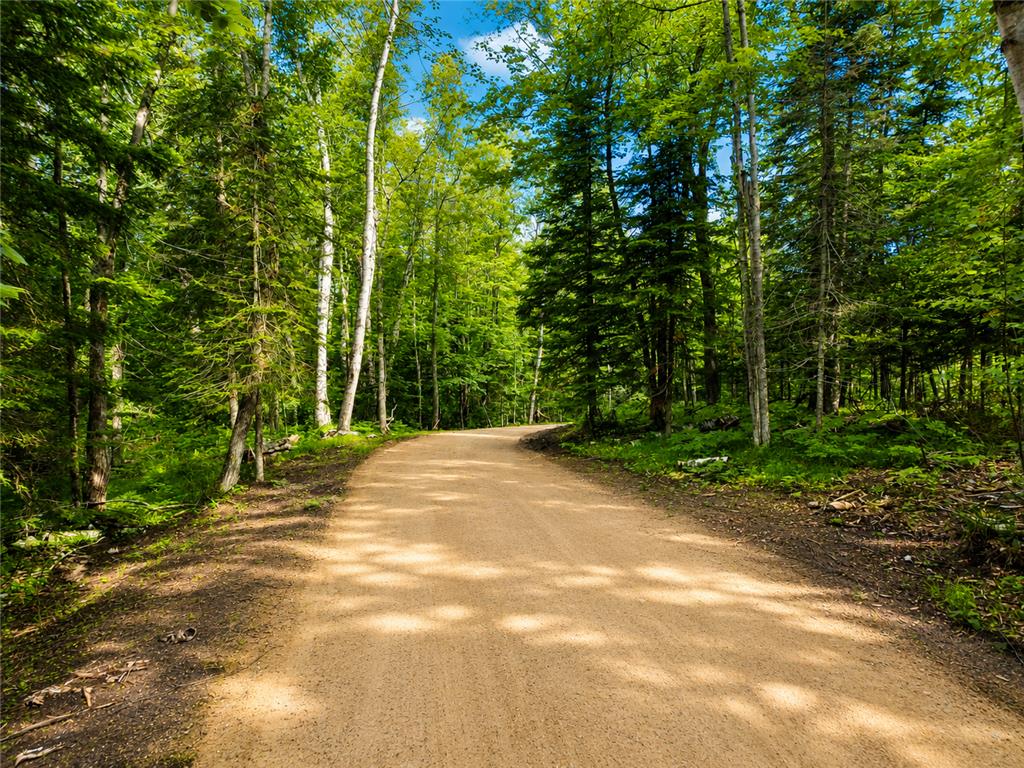 7787 Agency Narrows Drive NW Walker MN 56484 - Leech Lake 6739779 image5
