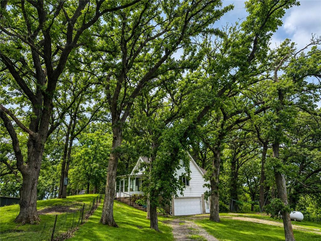 7798 Highway 218 Owatonna MN 55060 7099591 image3
